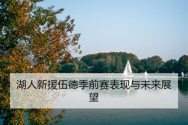 湖人新援伍德季前赛表现与未来展望
